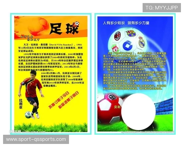 球星都是几级足球运动员揭秘不同级别足球运动员的差异与发展路径